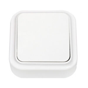 Выключатель 1 клав. (открытый, 6А) белый, Пралеска, Bylectrica