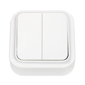 Выключатель 2 клав. (открытый, 6А) белый, Пралеска, Bylectrica