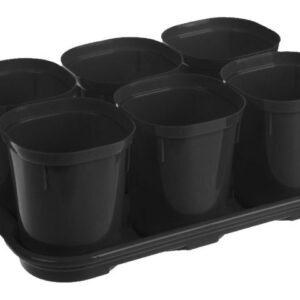 Набор горшков для выращивания рассады с поддоном, 6 шт х 400 мл, Smart Solution, оникс, INGREEN