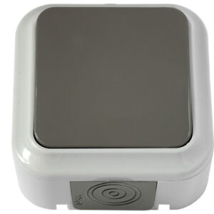 Выключатель 1 клав. (открытый, 6А, брызг. защ.) серый, Пралеска Аква, Bylectrica