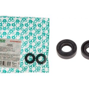 Сальник ECO ST38/45/55