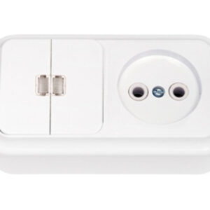 Блок выкл. 2 клав. + розетка (открытая, б/з) со световой индикацией,белая, Пралеска, BYLECTRICA