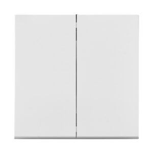 Выключатель 2 клав. (cкрытый, узел, 10А) белый, Carre, BYLECTRICA