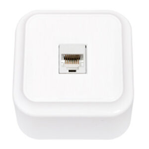 Розетка 1-ая компьютерная (открытая) белая, Пралеска, BYLECTRICA