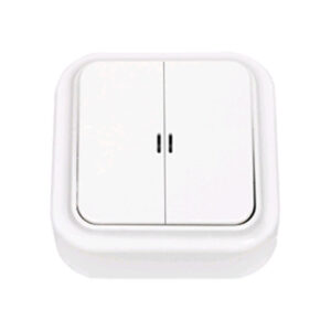 Выключатель 2 клав. (открытый, 10А) со световой индикацией, белый, Пралеска, BYLECTRICA