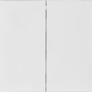 Выключатель 2 клав. проходной (скрытый, 10А) белый, Carre, BYLECTRICA