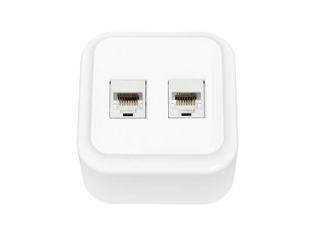 Розетка 2-ая компьютерная (открытая) белая, Пралеска, Byletrica