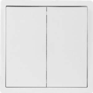 Выключатель 2 клав. проходной (скрытый, 10А) белый, Carre, BYLECTRICA