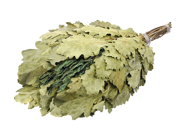 Веник дубовый с мятой, в упаковке, "Банные штучки"